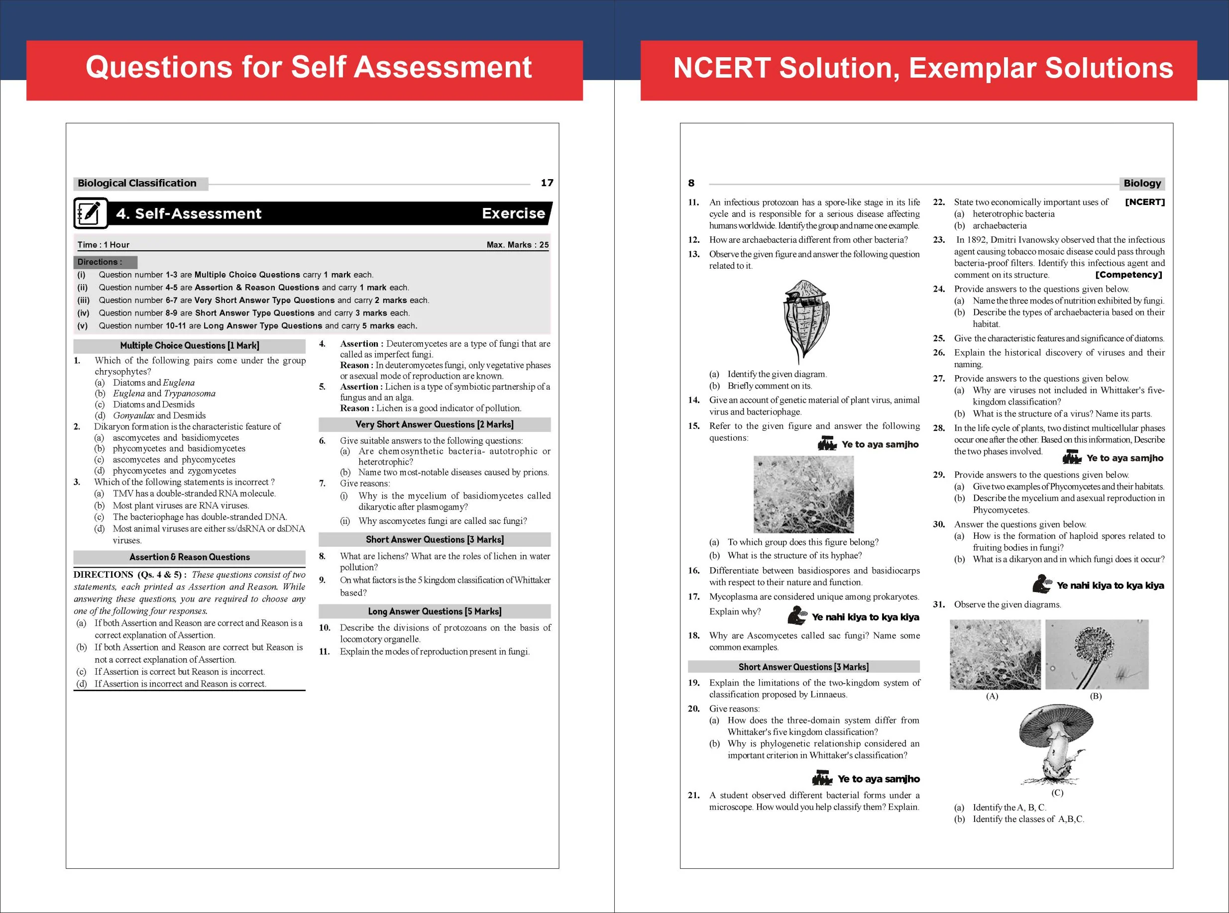Combo (2 Books) WINR Series CBSE 2026-27 Class 11 Physics & Chemistry Chapter-wise Objective & Subjective Question Bank | One-shot solution for 2027 Exam | NCERT, Exemplar & Competency Qns - Image 7