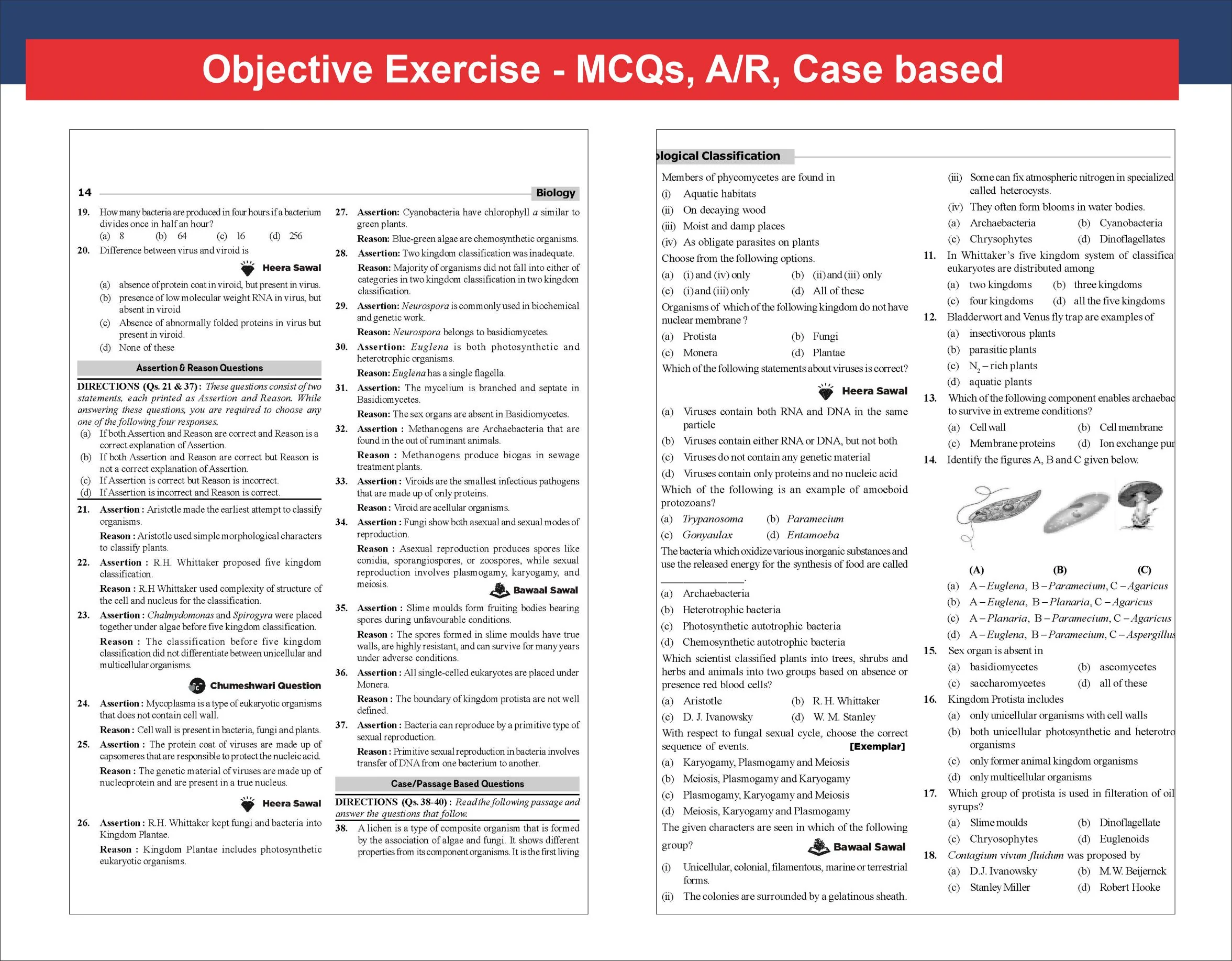 Combo (4 Books) WINR Series CBSE 2026-27 Class 11 Physics, Chemistry, Biology & English Core Chapter-wise Objective & Subjective Question Bank with FREE Flash Cards | For 2027 Exam | Fully Solved - Image 6