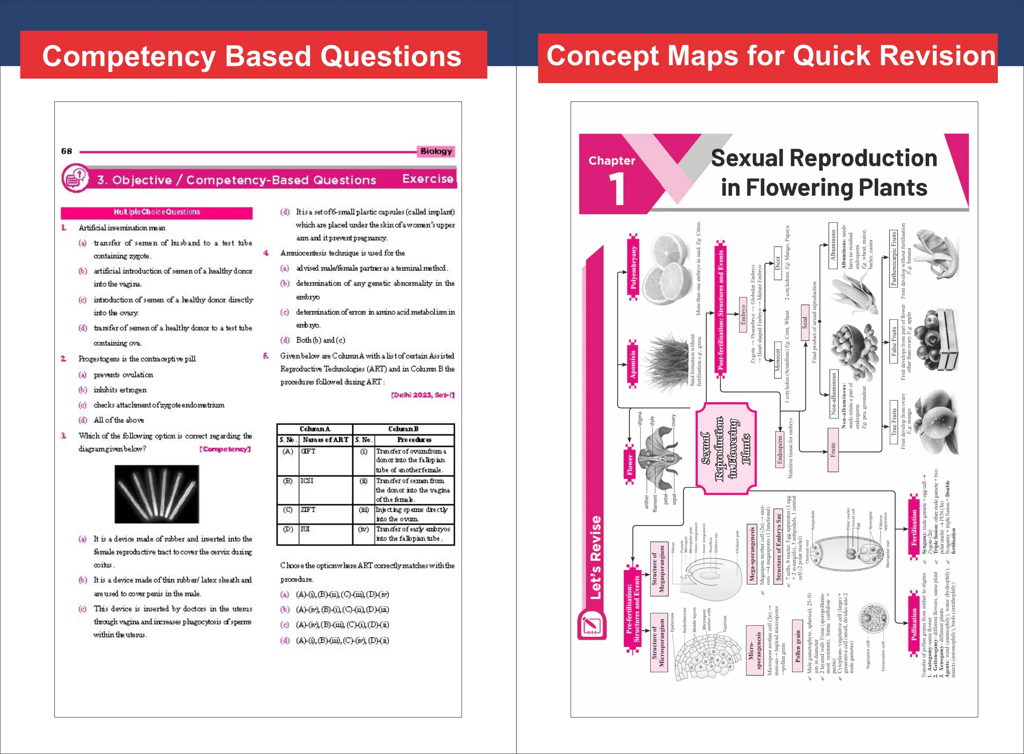 Combo (3 Books) WINR Series CBSE 2026-27 Class 12 Physics, Chemistry & Biology Chapter-wise Objective & Subjective Question Bank with FREE Flash Cards | For 2027 Exam | Fully Solved - Image 5