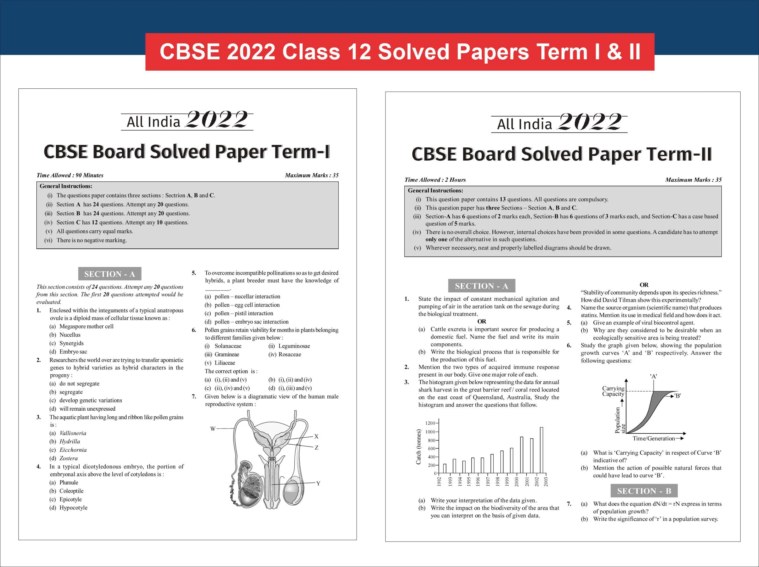 Disha Combo (4 Books) 13 Years CBSE Class 12 Solved Physics, Chemistry, Biology & English Core Previous Year-wise Question Papers (2013 - 2025) 4th Edn | PYQs | 2026 CBSE Question Bank Class 12 - Image 7