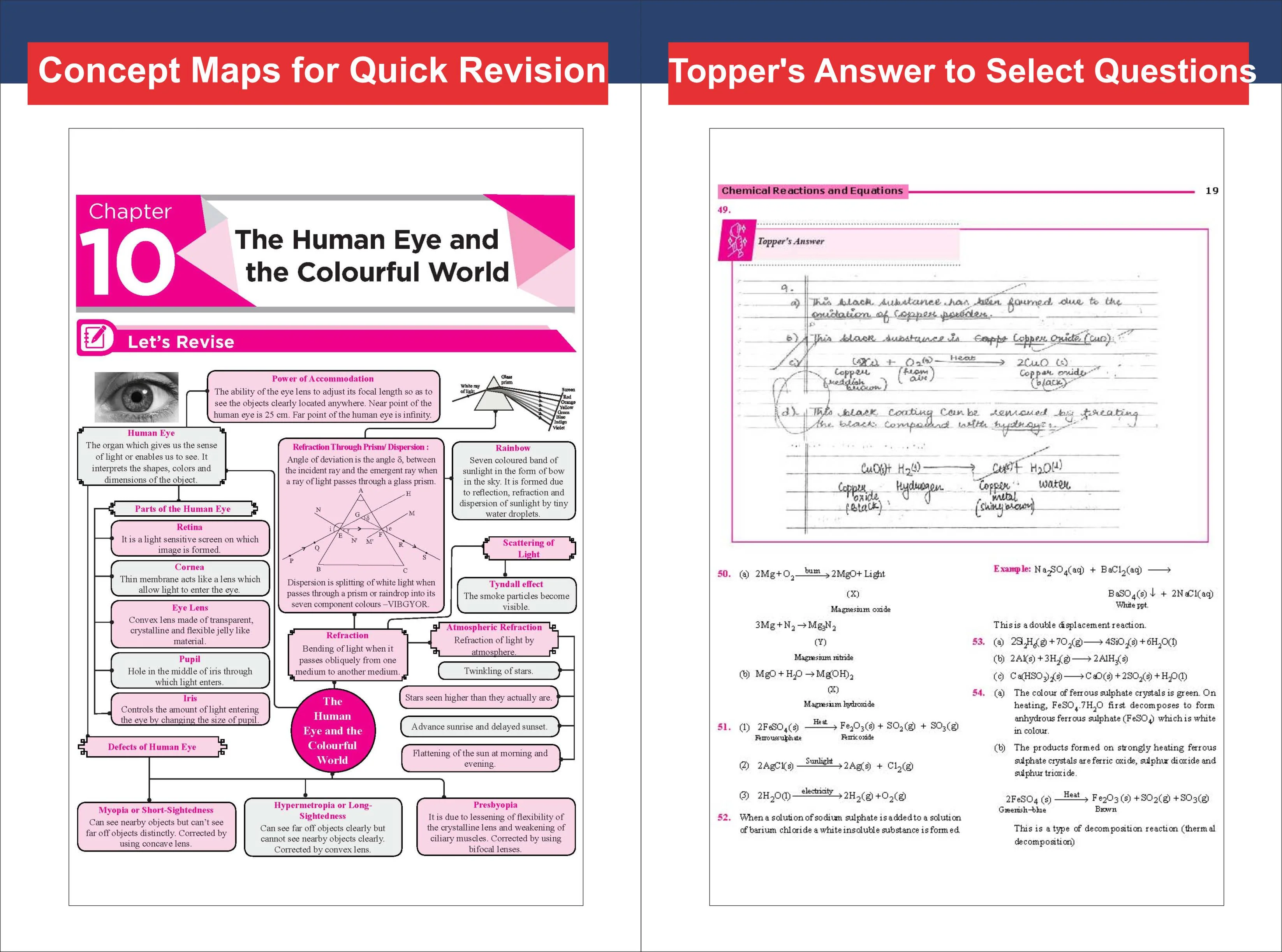 Combo (4 Books) WINR Series CBSE 2026-27 Class 10 Science, Mathematics, Social Science & English Lang. & Lit. Chapter-wise Objective & Subjective Question Bank with FREE Flash Cards | For 2027 Exam - Image 6