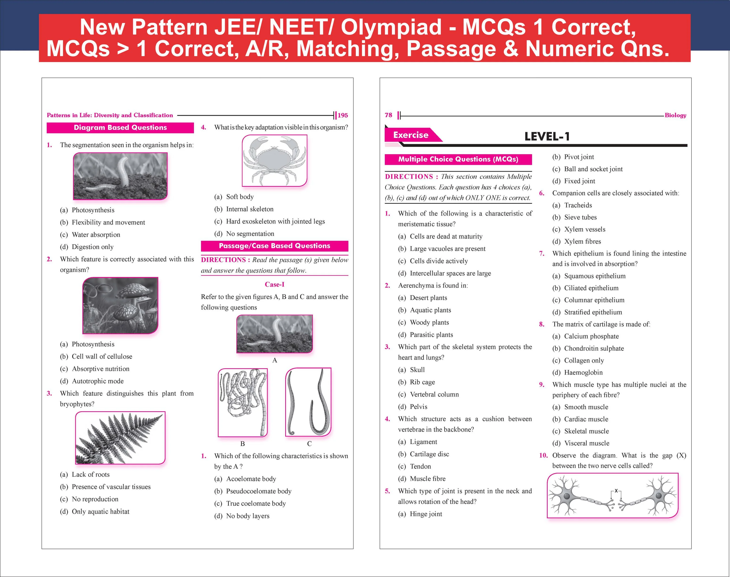 Disha New Syllabus Foundation Course in Biology Class 9 with Case Study Approach for NEET/ Boards/ Olympiad - 7th Edition | New NCERT Exploration Concepts | Advance Problem Solving Skills for Class IX - Image 7