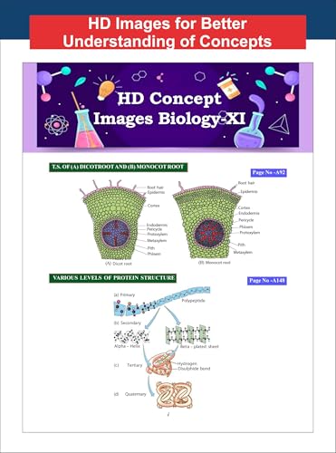 Disha New Syllabus Objective NCERT Xtract Biology for NEET 2026 (UG) with Previous Year & Practice Question Bank | Theory, NCERT MCQs, Tips on your Fingertips, Neet PYQs, 3 Mock Tests | 10th edition - Image 5