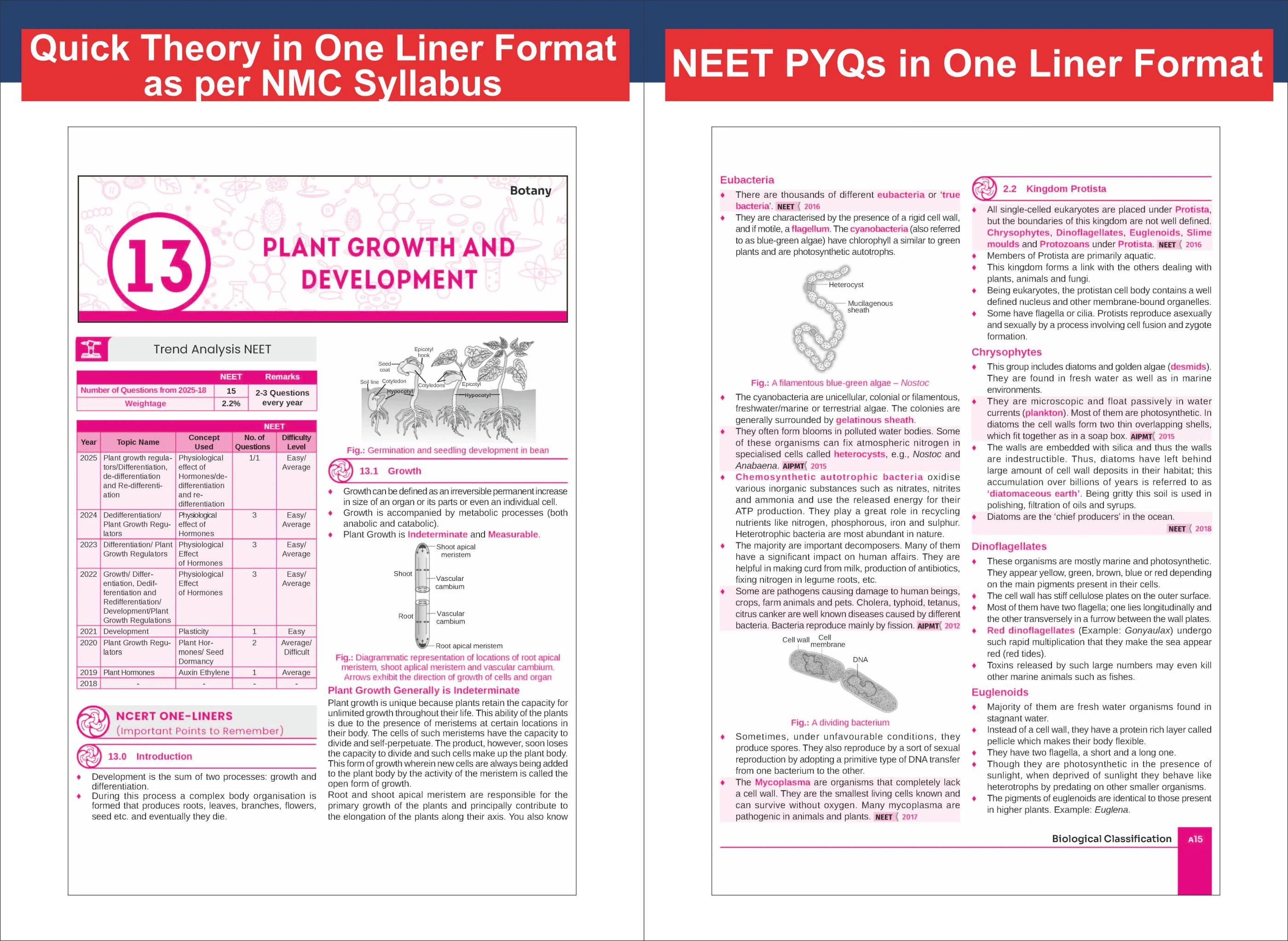 Disha Objective NCERT Xtract Physics, Chemistry & Biology for NEET 2027 with PYQs & Practice Question Bank 11th edition | Theory, NCERT MCQs, Tips on your Fingertips, Neet PYQs, 3 Mock Tests - Image 6