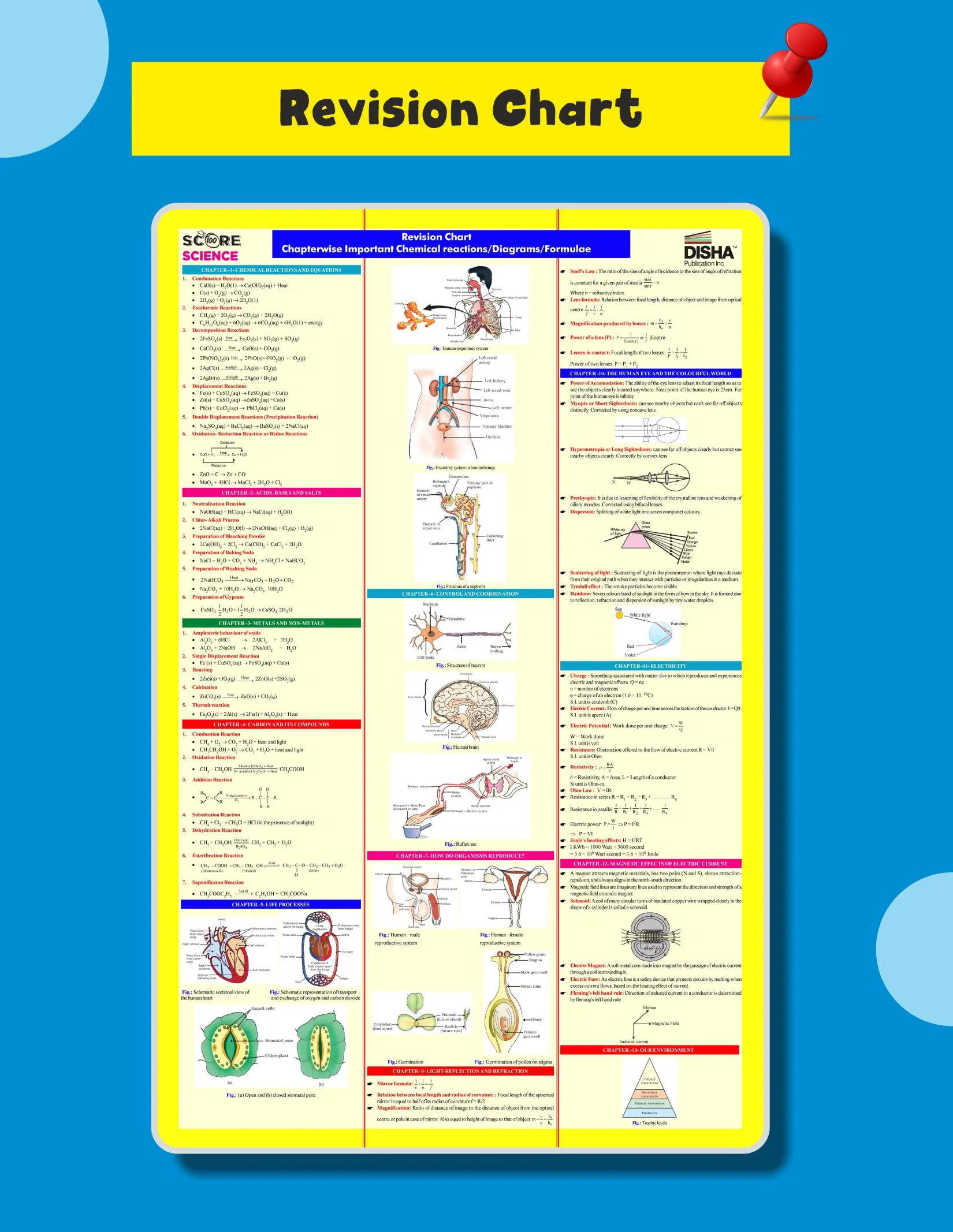 Disha Score 100 Science CBSE Class 10 Previous Year Solved Papers (2017 - 2026) with Revision Charts & Video Solutions 6th Edition | CBSE Class 10 PYQs, Mindmaps, Cheat Sheets, CBQs for 2027 Exam - Image 6