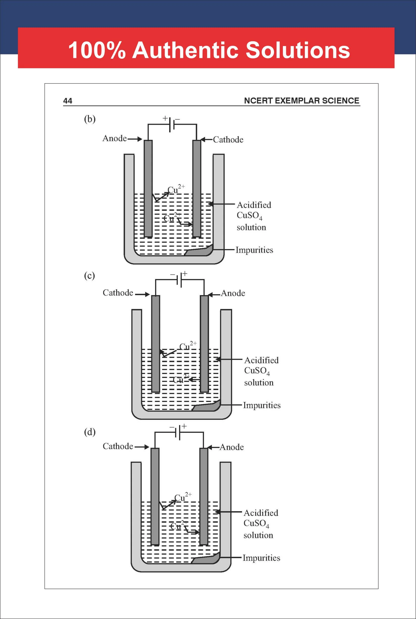 Disha TopperX NCERT Class 10 Science Exemplar Solutions Book for Board Exam 2027 - Image 7