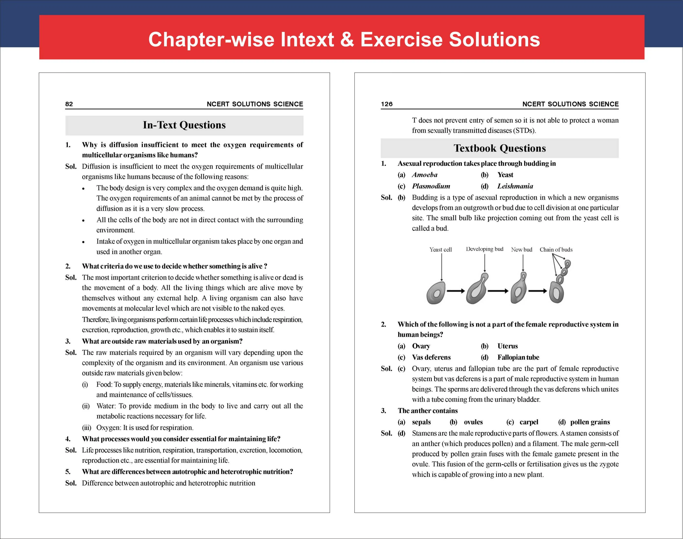 Disha TopperX Class 10th Science NCERT Solutions | Quick Revision Notes, NCERT Solutions, Board Pattern Competency Based and Activity Based Questions For Board Exam 2027 - Image 7