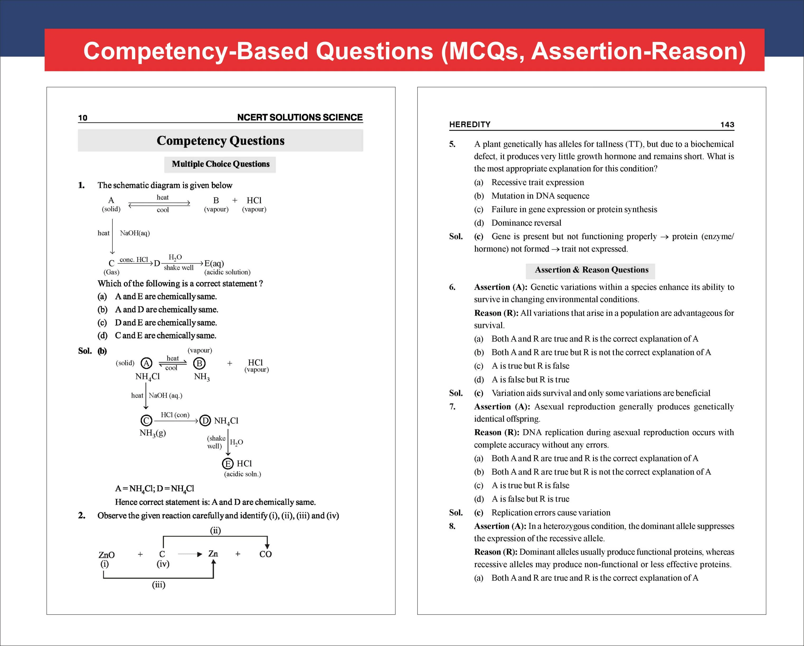 Disha TopperX Class 10th Science NCERT Solutions | Quick Revision Notes, NCERT Solutions, Board Pattern Competency Based and Activity Based Questions For Board Exam 2027 - Image 8