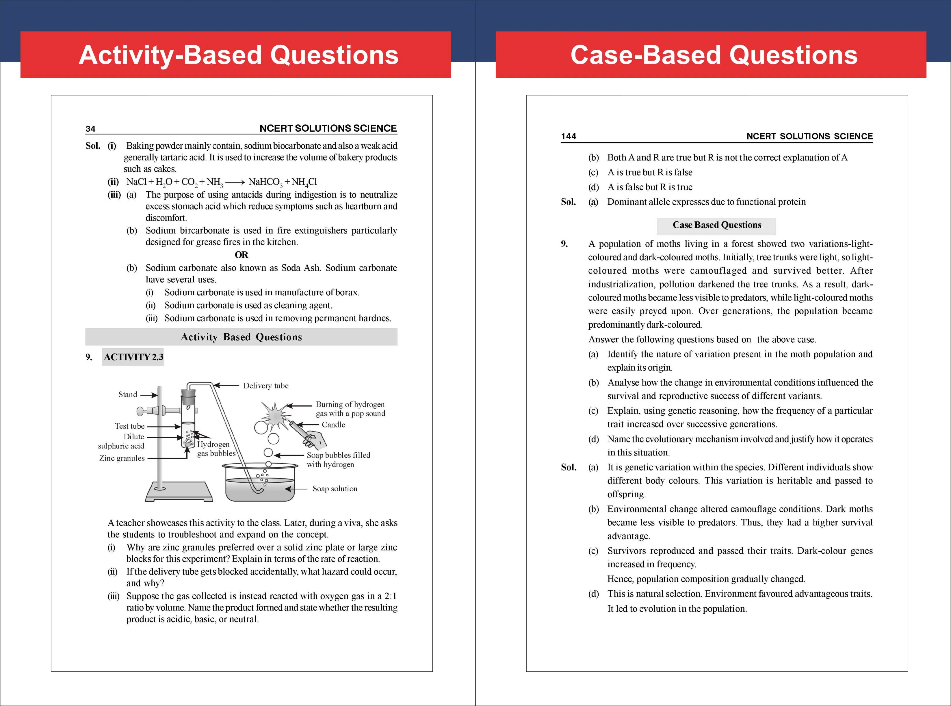 Disha TopperX Class 10th Science NCERT Solutions | Quick Revision Notes, NCERT Solutions, Board Pattern Competency Based and Activity Based Questions For Board Exam 2027 - Image 9