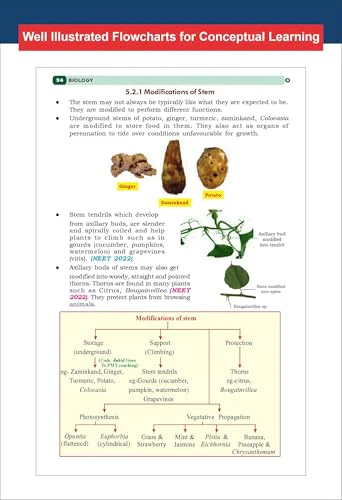 Disha s New Syllabus NCERT Tablet Biology for NEET (UG) 2026 - 4th Edition | Shortcut Concepts, Tips & Tricks for Revision & Learning | One Liner Theory with Mnemonics, PYQs (Previous Year Questions) - Image 6