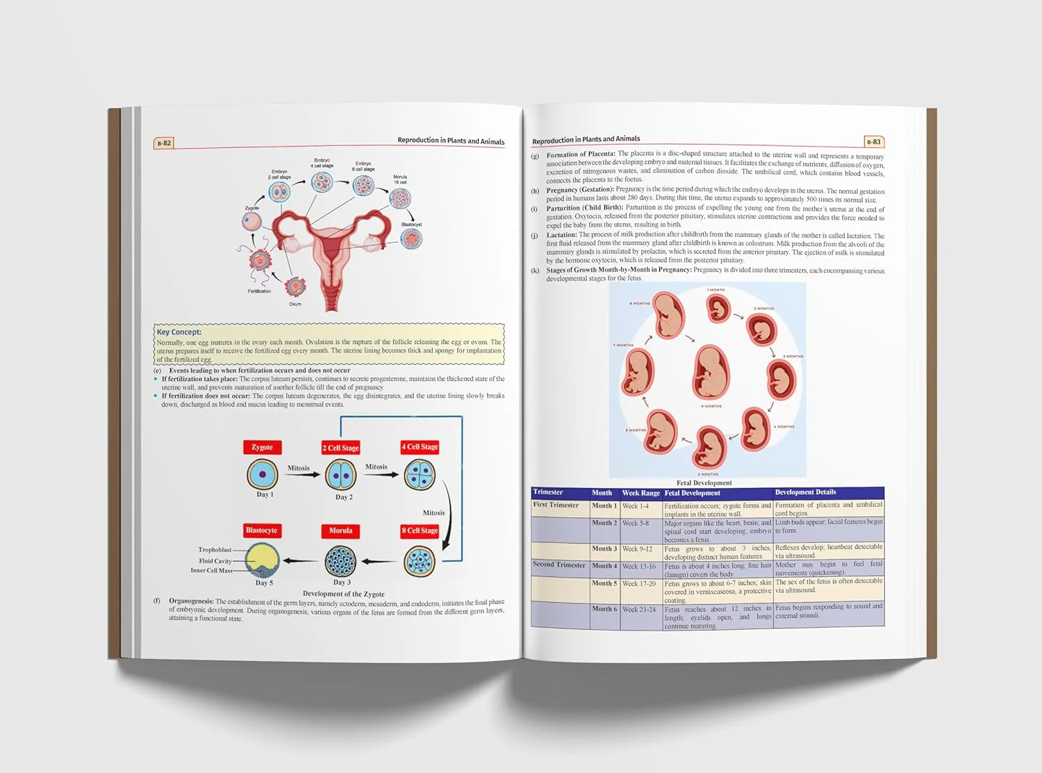 General Science & Technology Simplified for UPSC & State PSC Civil Services Prelims & Mains | 4 color | Infographics, Mind Maps, Illustrations, Previous Year Questions (PYQs) & Cinematic references - Image 6