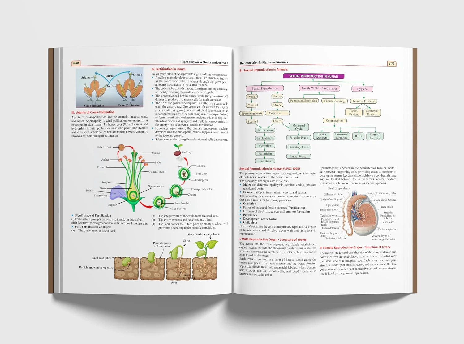 General Science & Technology Simplified for UPSC & State PSC Civil Services Prelims & Mains | 4 color | Infographics, Mind Maps, Illustrations, Previous Year Questions (PYQs) & Cinematic references - Image 7
