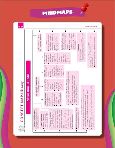Score 100 Social Science CBSE Class 10 - 10 Previous Year-wise Solved Papers (2016 - 2025) with Revision Workbook 5th Edition | PYQs, Mindmaps, Cheat Sheets, CBQs for 2026 Exam - Image 3